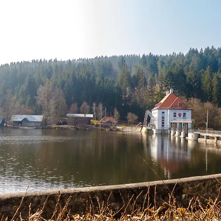 Vakantiehuis Nr 18b1, Hagbuegerl, Bayr Wald