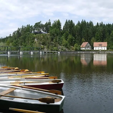 Feriehus Nr 18b1, Hagbuegerl, Bayr Wald Waldmünchen