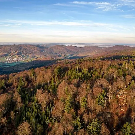 Nr 18b1, Hagbuegerl, Bayr Wald * Waldmünchen