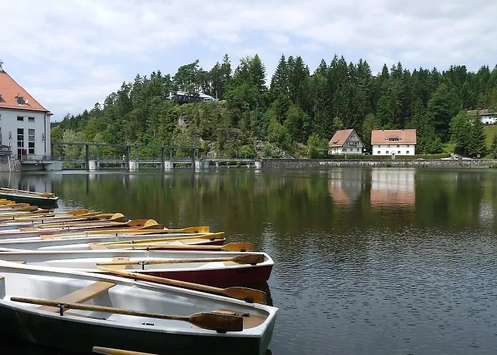 Dom wakacyjny Nr 18b1, Hagbuegerl, Bayr Wald Waldmünchen
