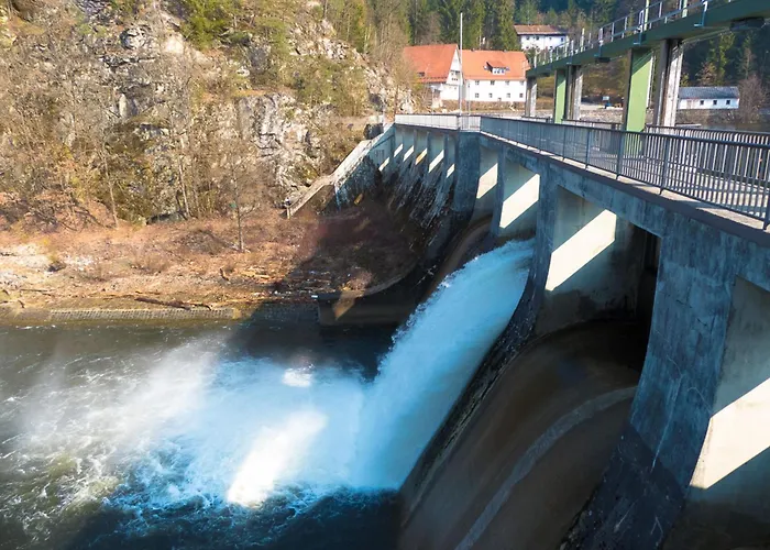 Nr 18b1, Hagbuegerl, Bayr Wald *