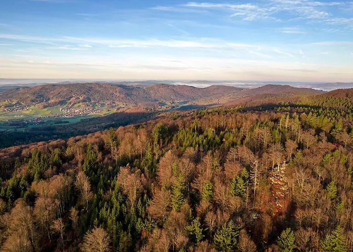 Nr 18b1, Hagbuegerl, Bayr Wald * Waldmünchen
